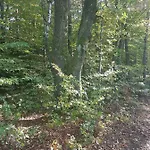 Gasthaus-pension Hilmer *